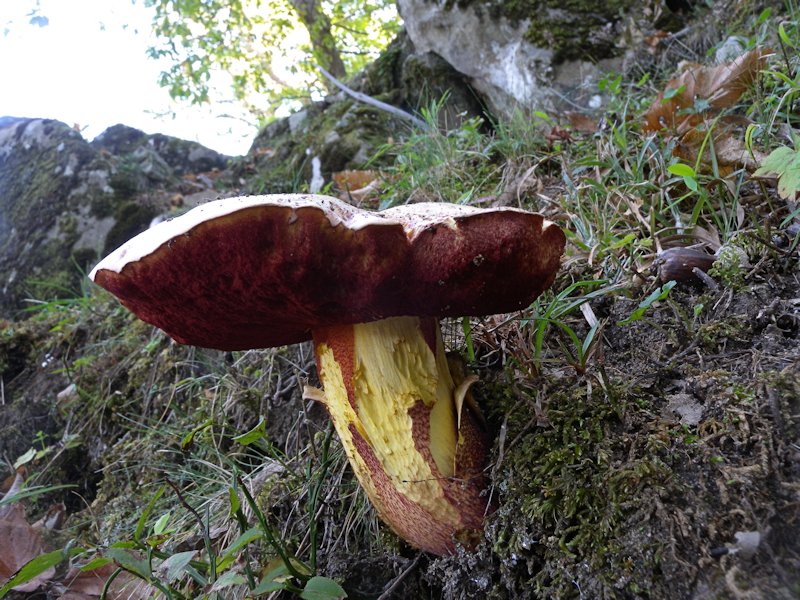 Forse l''ultima bellissima giornata..!!